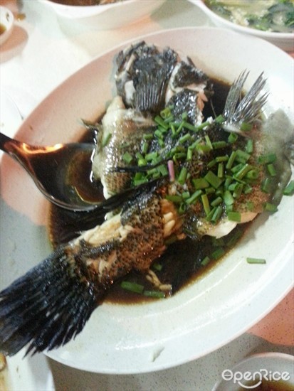 Fresh Fish