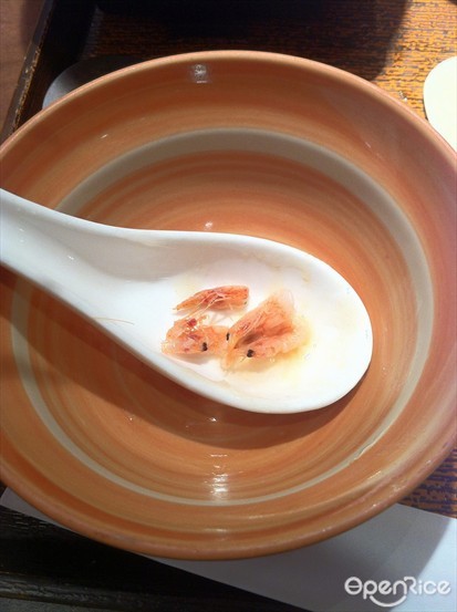 close up pic of the tiny shrimps