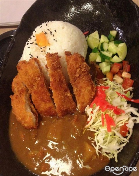 Curry Chicken Cutlet Rice