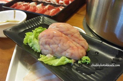 Pig Brain